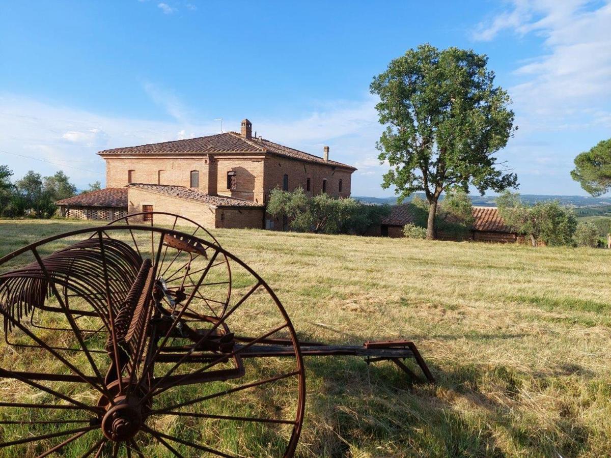 Diffuso Monte Oliveto Maggiore Séjour à la ferme *