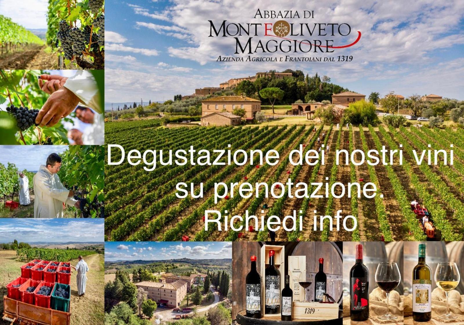 Diffuso Monte Oliveto Maggiore Séjour à la ferme *