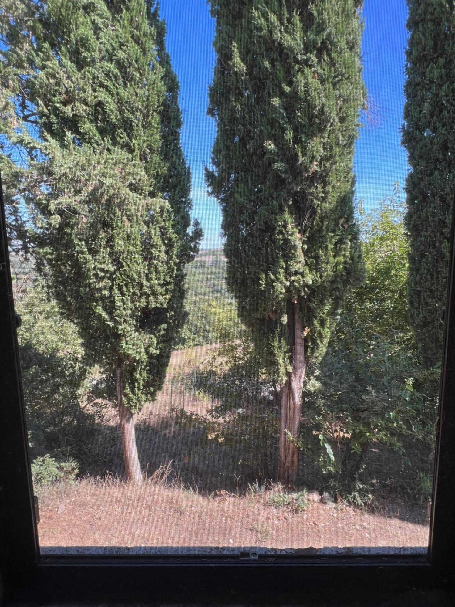 Séjour à la ferme Diffuso Monte Oliveto Maggiore Chiusure